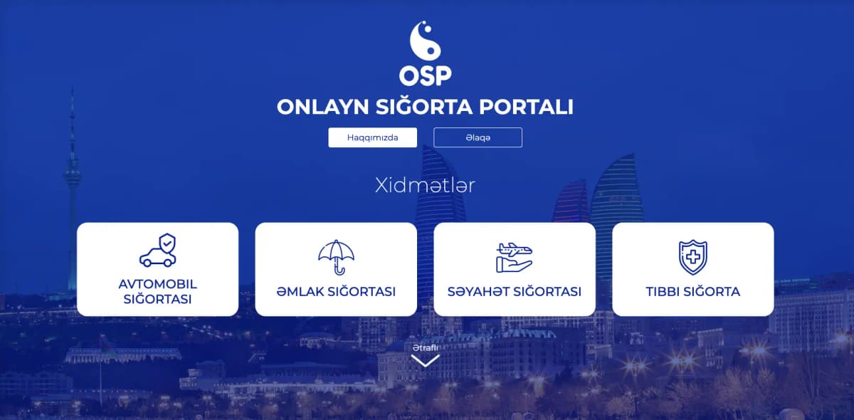 Portfolio Image